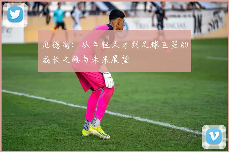 厄德高：从年轻天才到足球巨星的成长之路与未来展望
