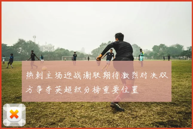 热刺主场迎战谢联期待激烈对决双方争夺英超积分榜重要位置