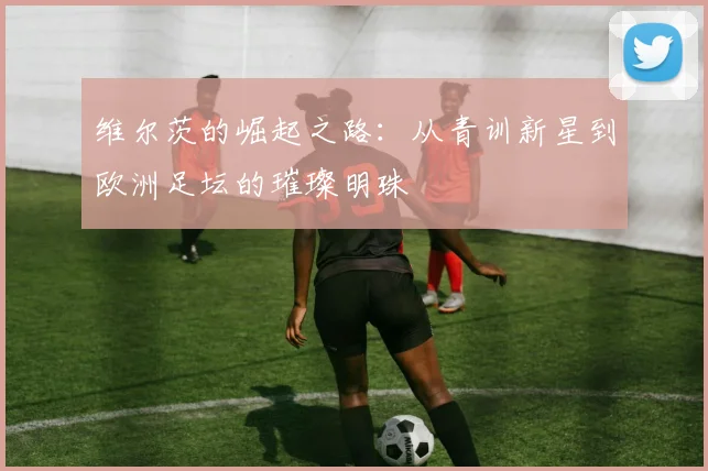 维尔茨的崛起之路：从青训新星到欧洲足坛的璀璨明珠