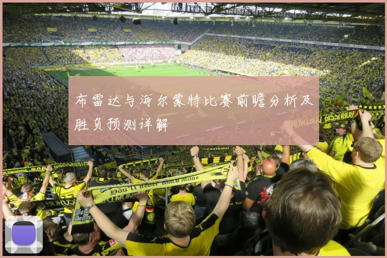 布雷达与海尔蒙特比赛前瞻分析及胜负预测详解